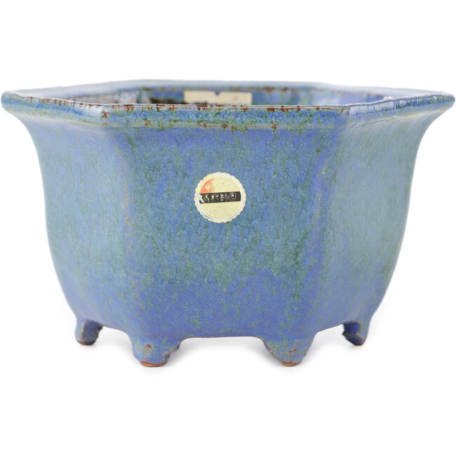 Pot à bonsaï hexagonal bleu de Shuhou - 135 x 135 x 77 mm