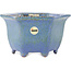 Pot à bonsaï hexagonal bleu de Shuhou - 135 x 135 x 77 mm