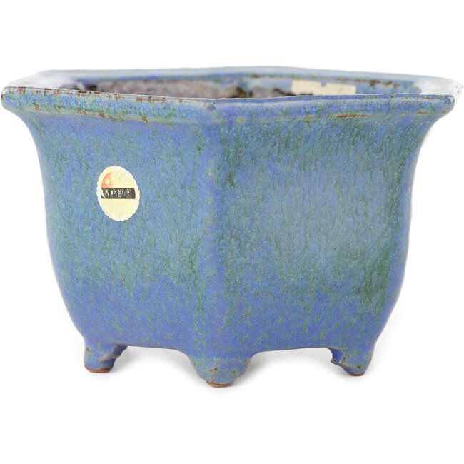 Vaso bonsai esagonale blu di Shuhou - 135 x 135 x 77 mm