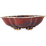 Mokko red bonsai pot by Sharaku - 253 x 221 x 75 mm