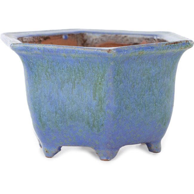 Vaso bonsai esagonale blu di Shuhou - 135 x 135 x 77 mm