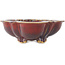 Mokko red bonsai pot by Sharaku - 253 x 221 x 75 mm