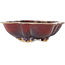 Vaso bonsai Mokko rosso di Sharaku - 253 x 221 x 75 mm