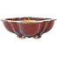 Mokko red bonsai pot by Sharaku - 253 x 221 x 75 mm