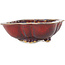 Mokko red bonsai pot by Sharaku - 253 x 221 x 75 mm