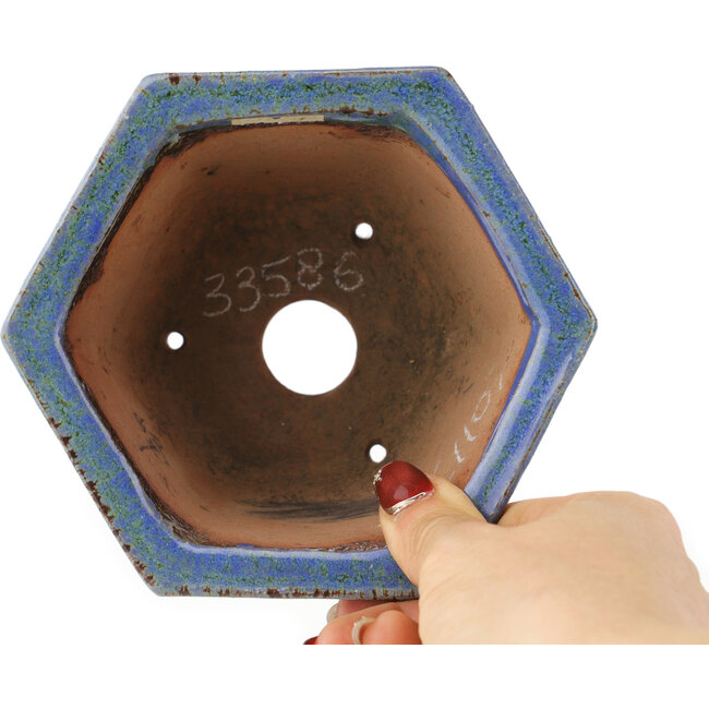 Zeshoekige blauwe bonsaipot van Shuhou - 135 x 135 x 77 mm