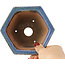 Pot à bonsaï hexagonal bleu de Shuhou - 135 x 135 x 77 mm