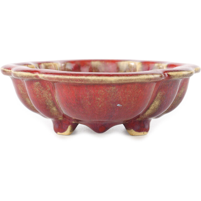 Maceta para bonsai Mokko roja de Sharaku - 180 x 143 x 48 mm