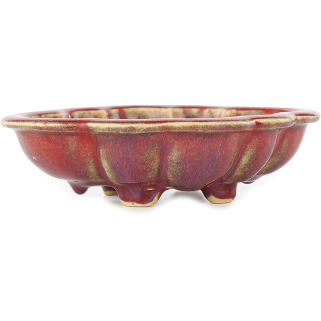 Roter Mokko-Bonsaitopf von Sharaku – 180 x 143 x 48 mm