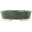 Ovale groene en bruine bonsai pot - 190 x 175 x 52 mm
