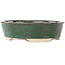 Ovale groene en bruine bonsai pot - 190 x 175 x 52 mm