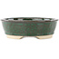 Ovale groene en bruine bonsai pot - 190 x 175 x 52 mm