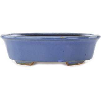  Hattori Tomoyuki 188 mm oval blue bonsai pot by Hattori, Tokoname, Japan