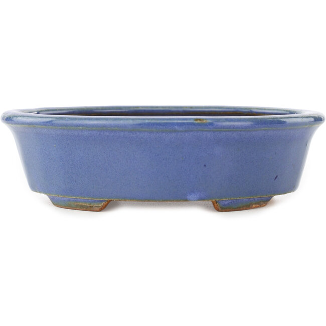 Oval blue bonsai pot by Hattori - 188 x 160 x 52 mm