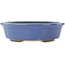 Oval blue bonsai pot by Hattori - 188 x 160 x 52 mm