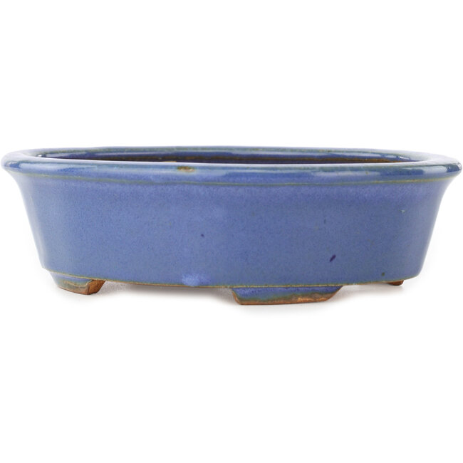 Oval blue bonsai pot by Hattori - 188 x 160 x 52 mm