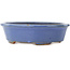 Oval blue bonsai pot by Hattori - 188 x 160 x 52 mm