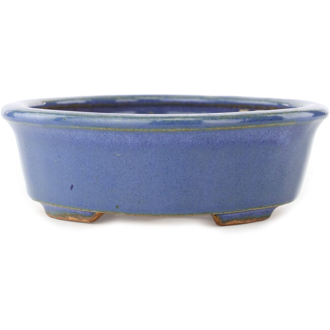 Vaso bonsai ovale blu di Hattori - 188 x 160 x 52 mm