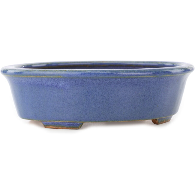 Vaso bonsai ovale blu di Hattori - 188 x 160 x 52 mm