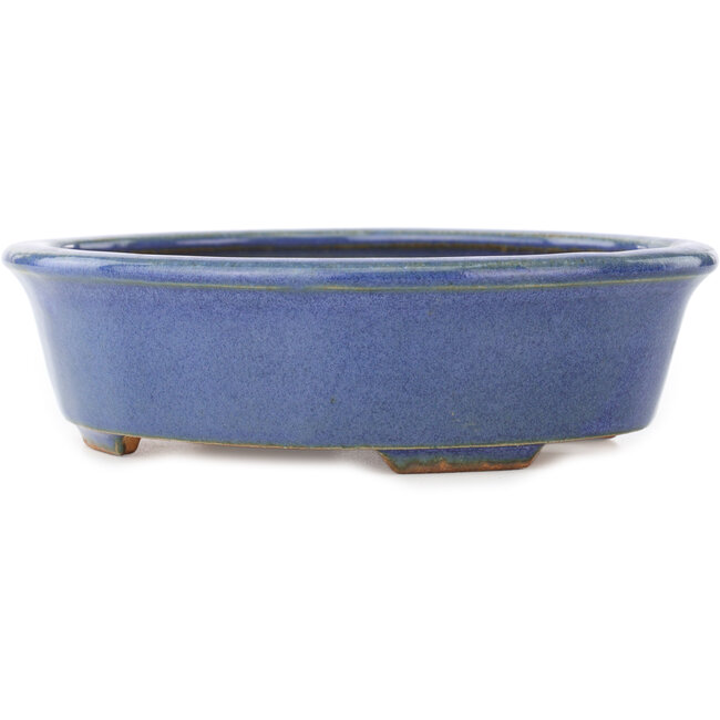 Ovaler blauer Bonsai-Topf von Hattori - 188 x 160 x 52 mm