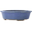 Pot à bonsaï ovale bleu par Hattori - 188 x 160 x 52 mm