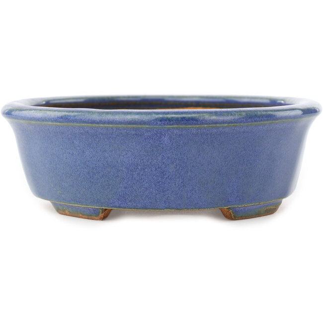 Ovale blauwe bonsai pot van Hattori - 188 x 160 x 52 mm