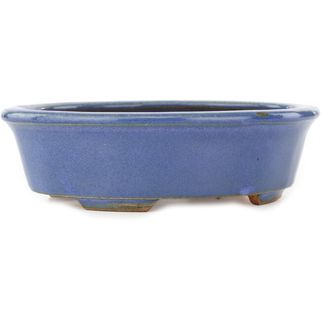 Ovale blauwe bonsai pot van Hattori - 188 x 160 x 52 mm