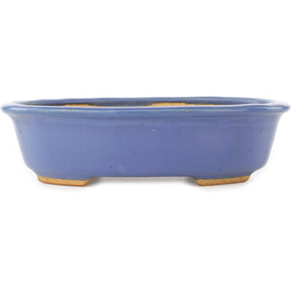  Hattori Tomoyuki 195 mm oval blue bonsai pot by Hattori, Tokoname, Japan