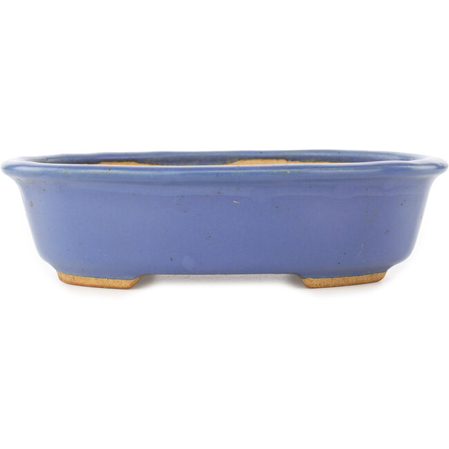 Oval blue bonsai pot by Hattori - 195 x 147 x 52 mm