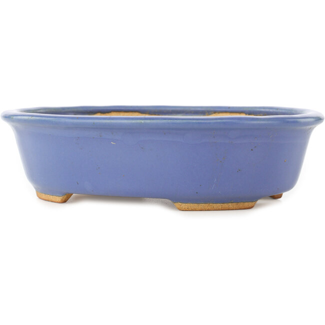 Vaso bonsai ovale blu di Hattori - 195 x 147 x 52 mm