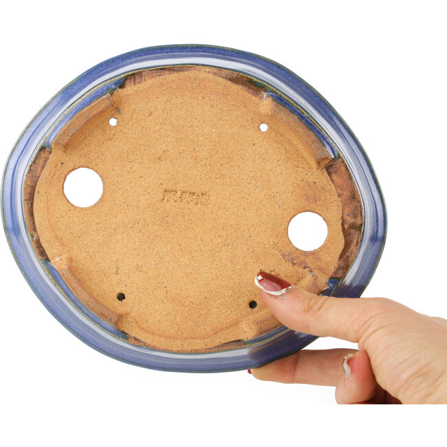 Ovale blauwe bonsai pot van Hattori - 188 x 160 x 52 mm