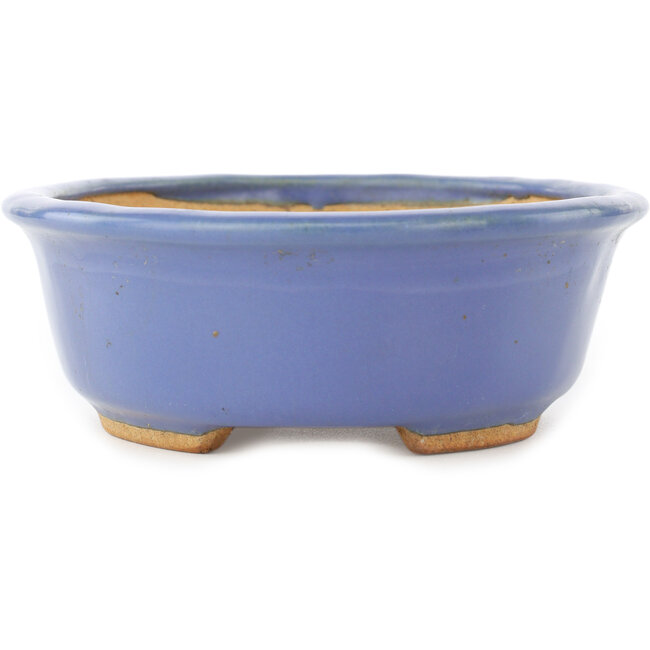 Ovale blauwe bonsai pot van Hattori - 195 x 147 x 52 mm