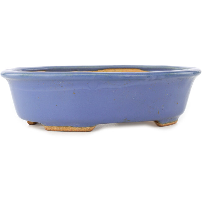 Ovaler blauer Bonsai-Topf von Hattori - 195 x 147 x 52 mm