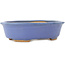 Oval blue bonsai pot by Hattori - 195 x 147 x 52 mm