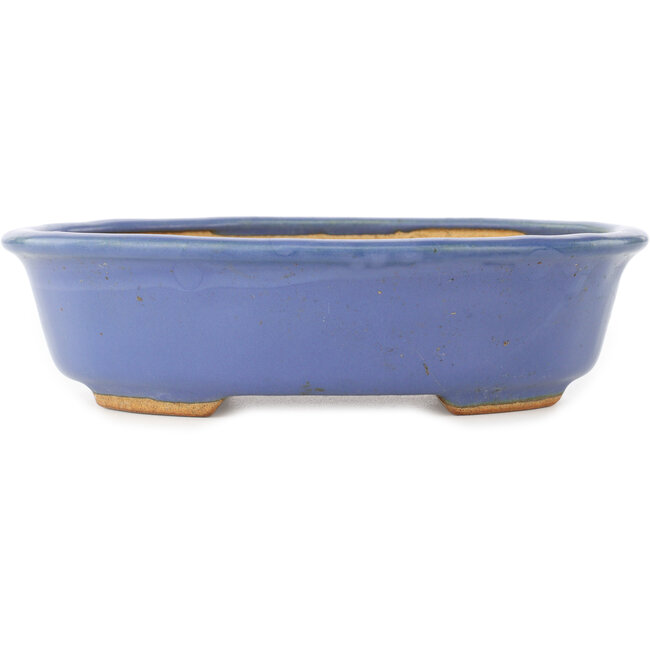 Maceta ovalada azul para bonsái de Hattori - 195 x 147 x 52 mm