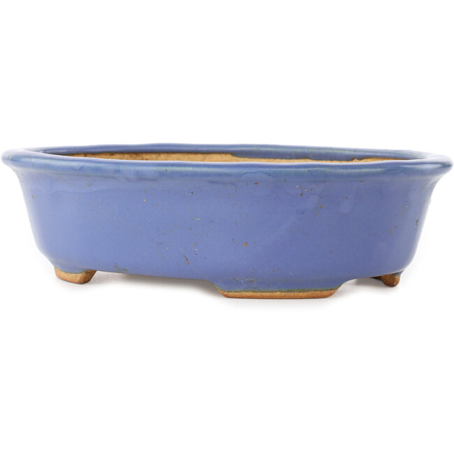 Pot à bonsaï ovale bleu par Hattori - 195 x 147 x 52 mm
