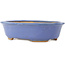 Oval blue bonsai pot by Hattori - 195 x 147 x 52 mm