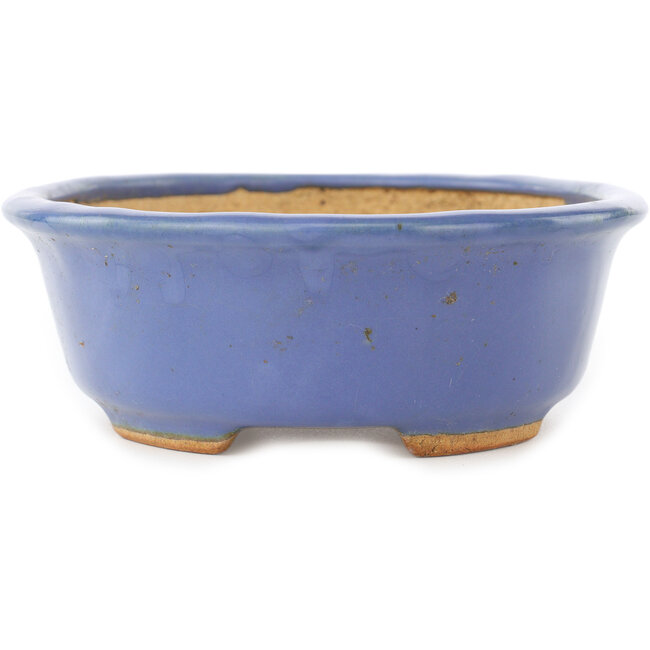 Ovaler blauer Bonsai-Topf von Hattori - 195 x 147 x 52 mm