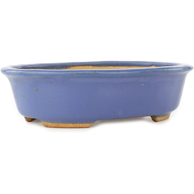 Maceta ovalada azul para bonsái de Hattori - 195 x 147 x 52 mm