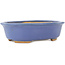 Oval blue bonsai pot by Hattori - 195 x 147 x 52 mm