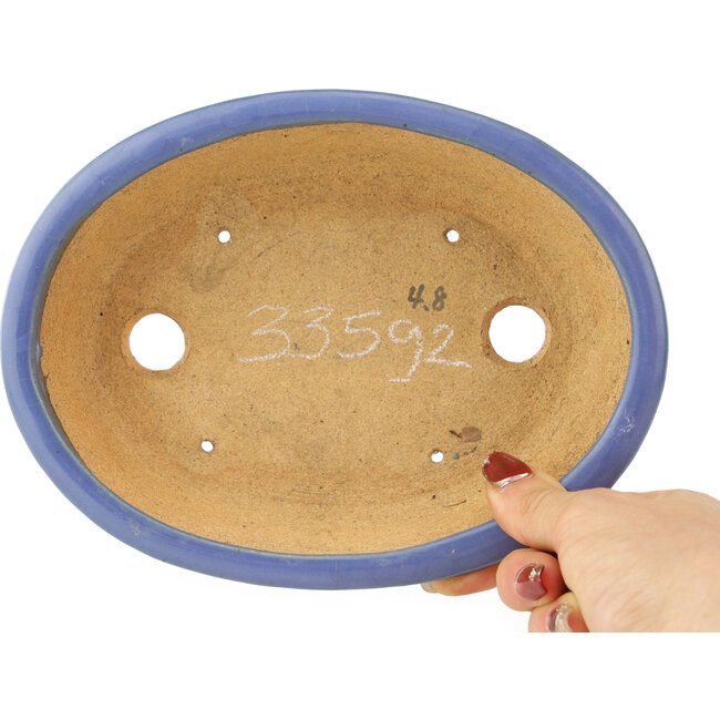 Pot à bonsaï ovale bleu par Hattori - 195 x 147 x 52 mm
