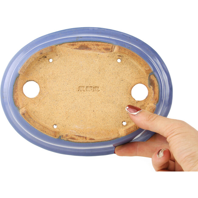 Maceta ovalada azul para bonsái de Hattori - 195 x 147 x 52 mm