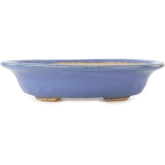  Hattori Tomoyuki 200 mm oval blue bonsai pot by Hattori, Tokoname, Japan