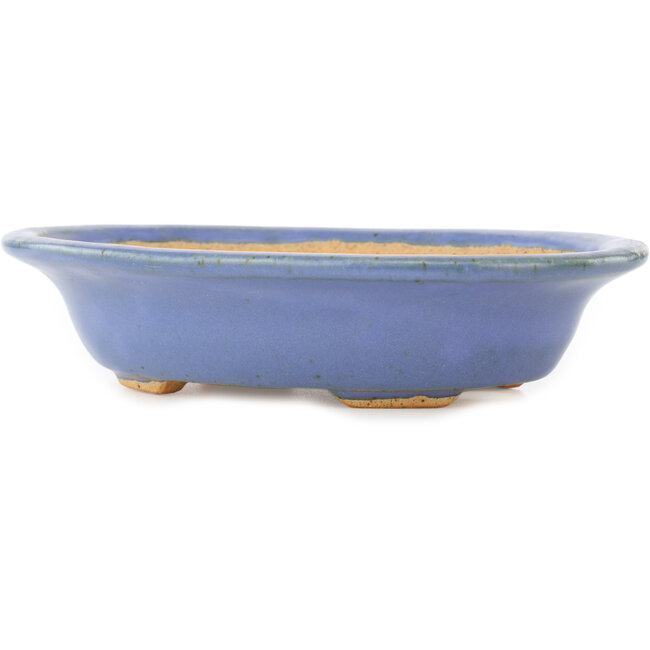 Pot à bonsaï ovale bleu par Hattori - 200 x 150 x 45 mm