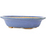 Vaso bonsai ovale blu di Hattori - 200 x 150 x 45 mm