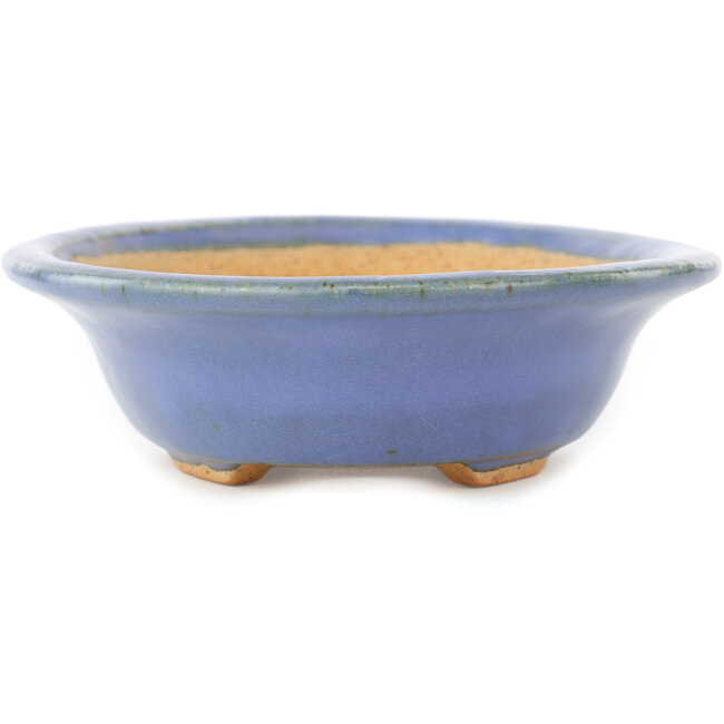 Oval blue bonsai pot by Hattori - 200 x 150 x 45 mm