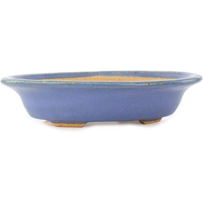 Vaso bonsai ovale blu di Hattori - 200 x 150 x 45 mm
