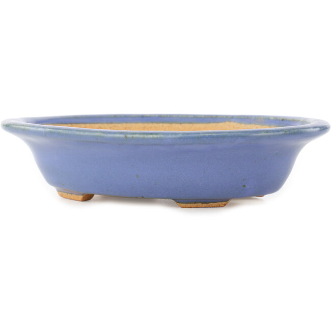 Pot à bonsaï ovale bleu par Hattori - 200 x 150 x 45 mm
