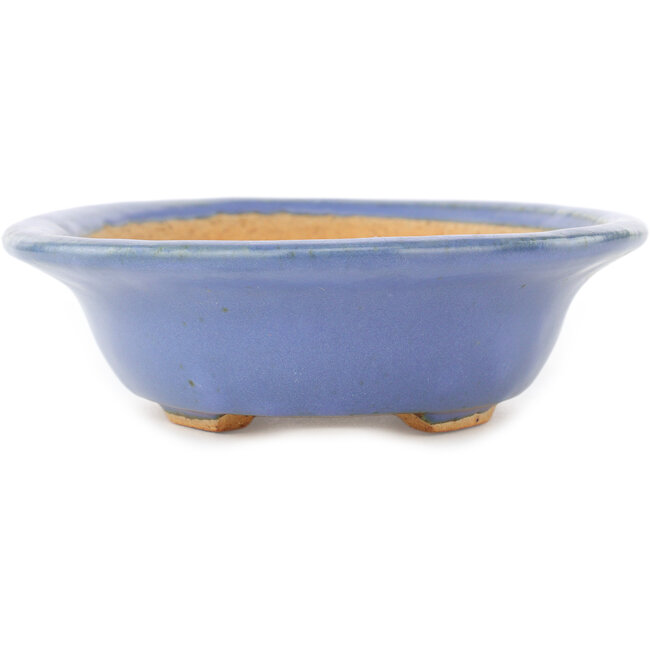 Ovale blauwe bonsai pot van Hattori - 200 x 150 x 45 mm