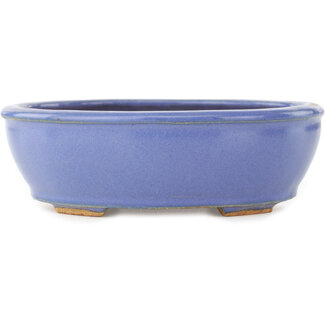  Hattori Tomoyuki Pot à bonsaï ovale bleu 160 mm par Hattori, Tokoname, Japon